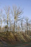 Cjp_2010_03_30_171613 (1).jpg